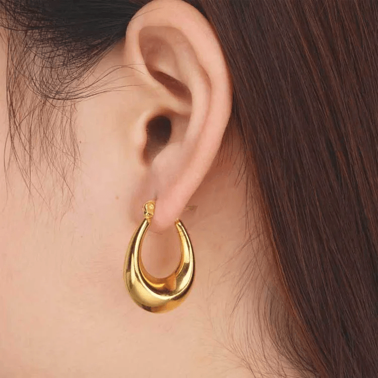 Oval hoops earrings
