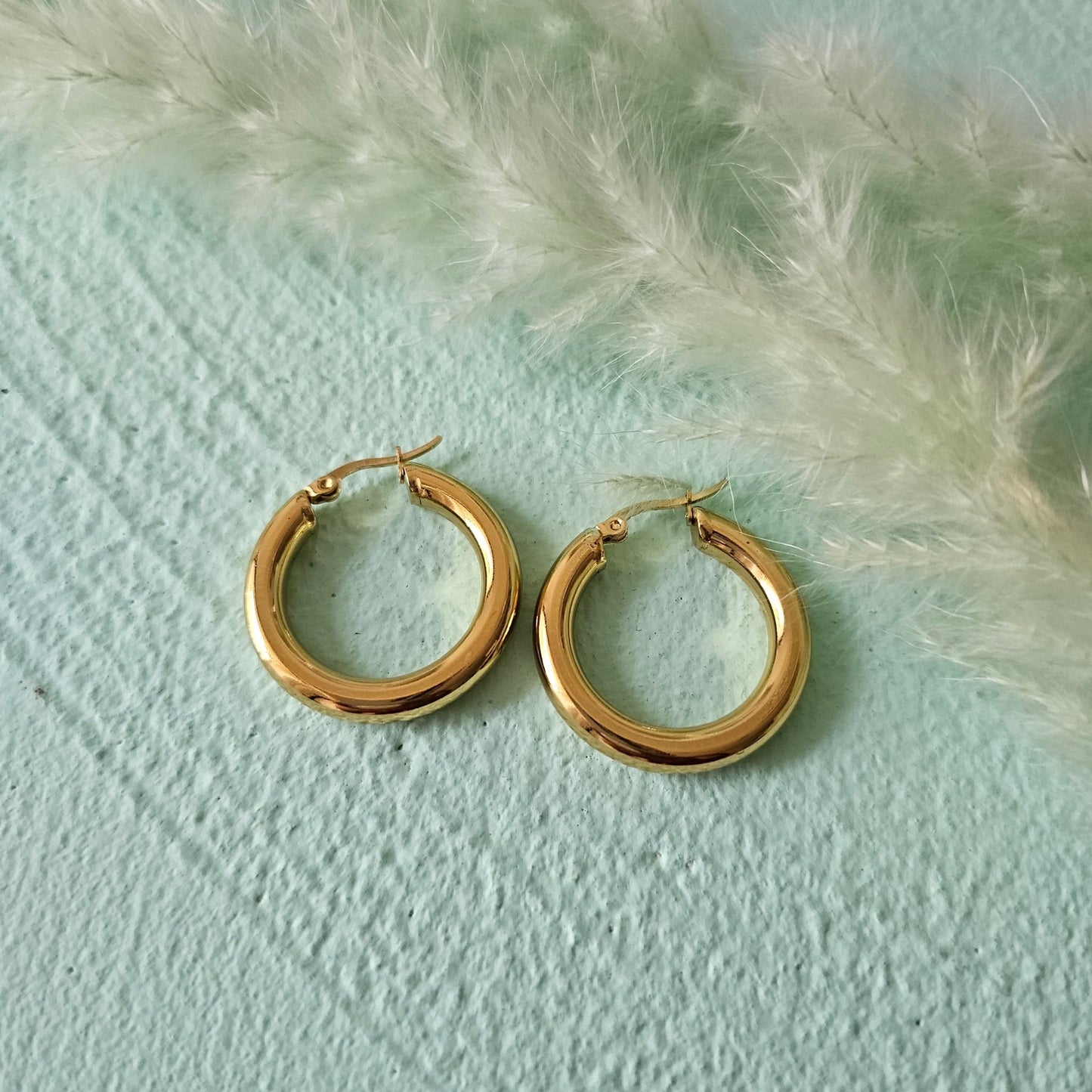 Sandra hoops earrings