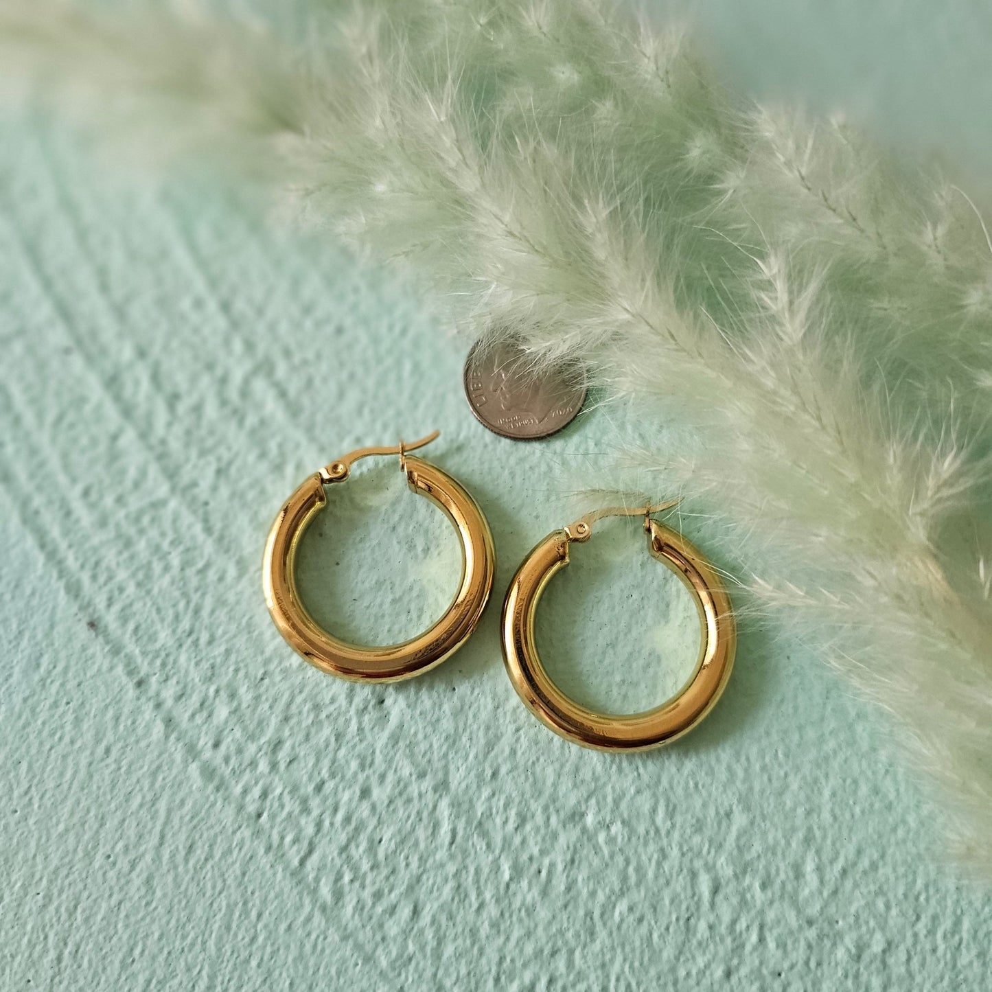 Sandra hoops earrings