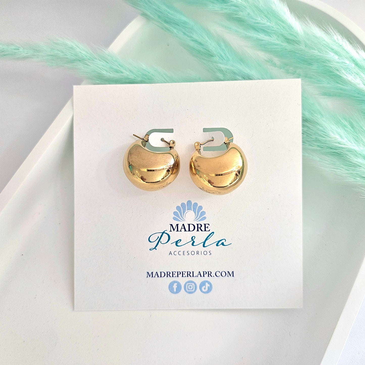 Chubby hoops earrings