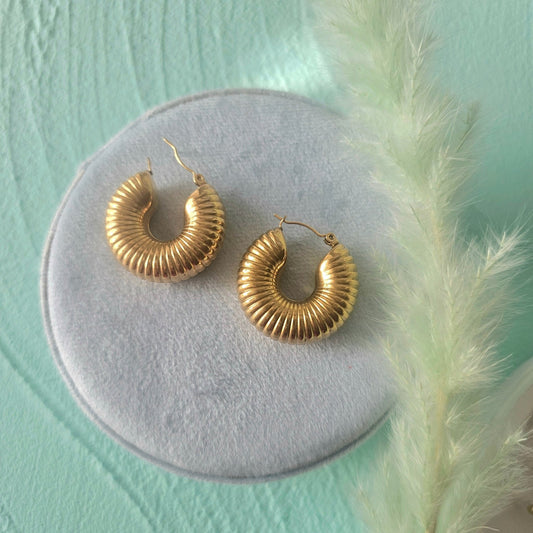 Chunky earrings