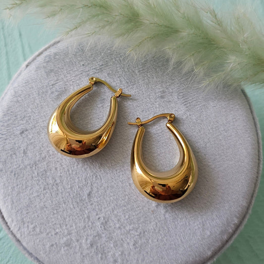 Oval hoops earrings