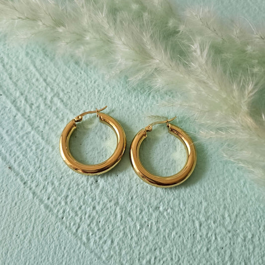 Sandra hoops earrings