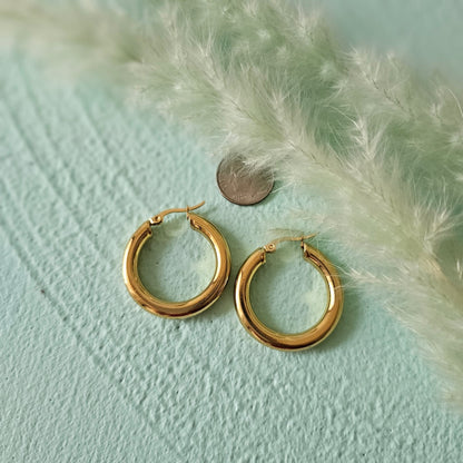 Sandra hoops earrings